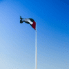 UAE Flag